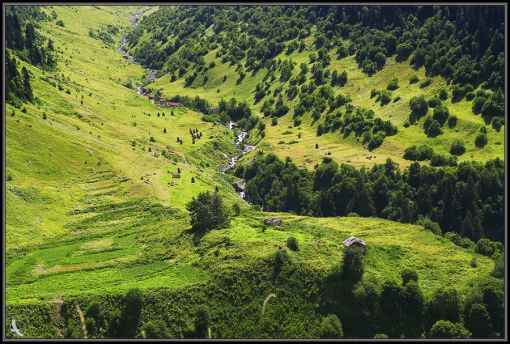 Georgian Tours